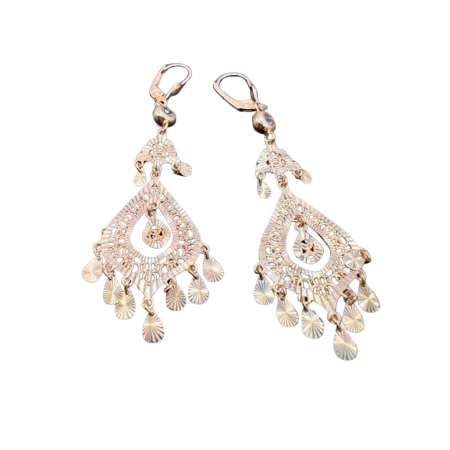 Kenzari Jewellery 14k Gold Earring for Women - 5.35 Grams