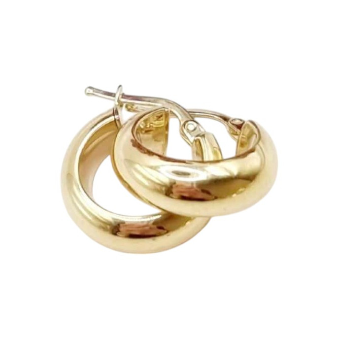 Kenzari Jewellery 14k Gold Earring for Women - 2.54 Grams